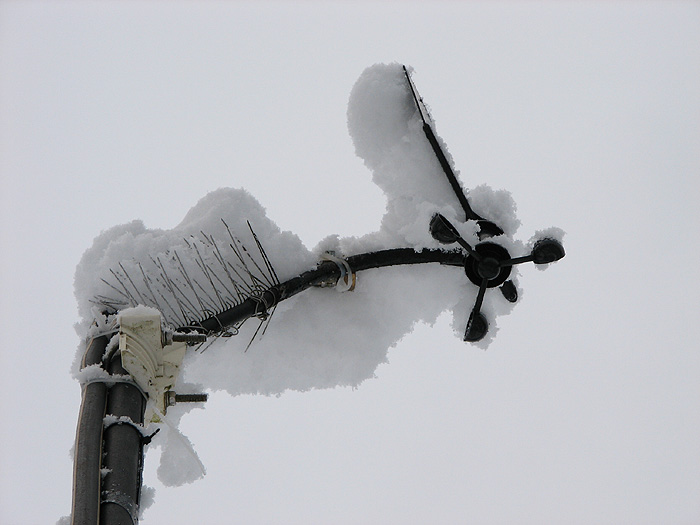 Snow Covered Wind Instruments.